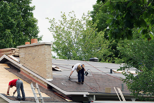 Best Local Roofing Companies  in Mion, AR