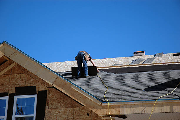 Best Roof Gutter Cleaning  in Mion, AR